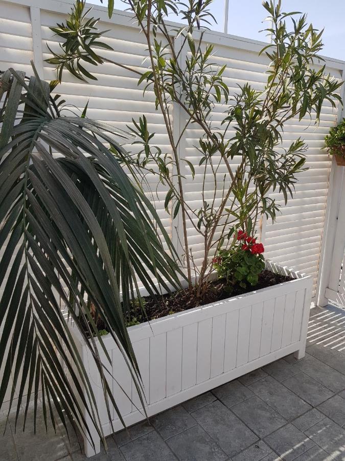 Citrus Boutique Hotel Baku Luaran gambar